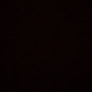 Meet your Posher, Caprisha